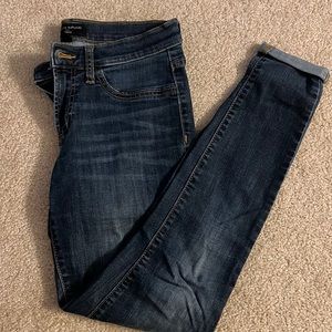 Banana Republic Jegging